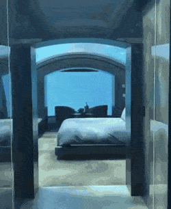 Acid Gifdump, March 3 (25 gifs)