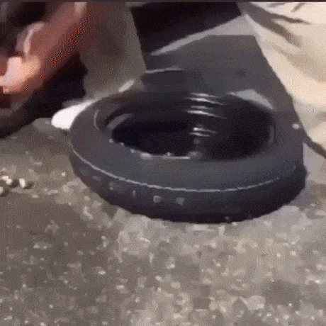 Acid Gifdump, March 3 (25 gifs)