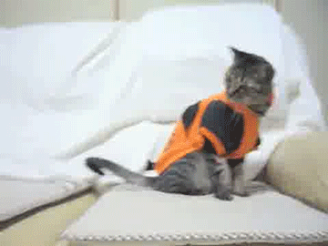Acid Gifdump, March 3 (25 gifs)