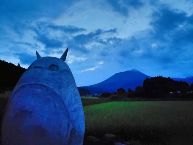 Japanese Elderly Couple Created A Real-Life Totoro Bus Stop (31 pics)