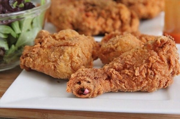 Dogs In Food (30 pics)