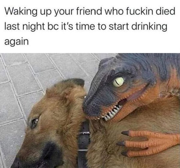 Day Drinking Memes (40 pics)