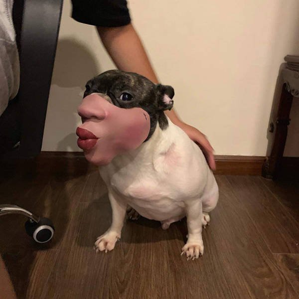 Acid Picdump. Part 2 (97 pics)