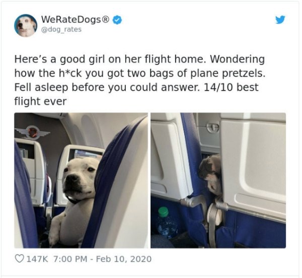 WeRateDogs Tweets (40 pics)