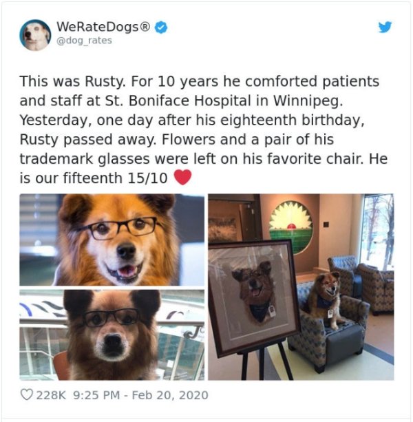 WeRateDogs Tweets (40 pics)
