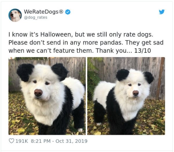 WeRateDogs Tweets (40 pics)
