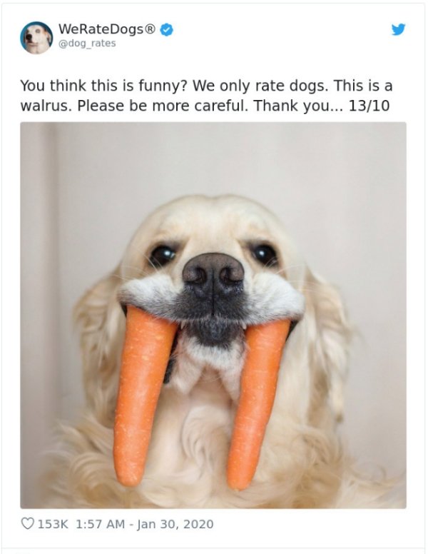 WeRateDogs Tweets (40 pics)
