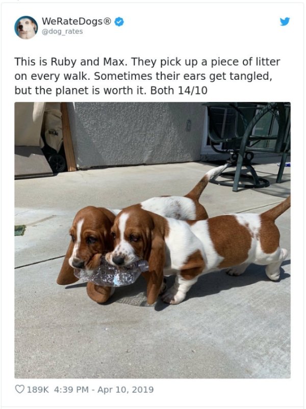 WeRateDogs Tweets (40 pics)