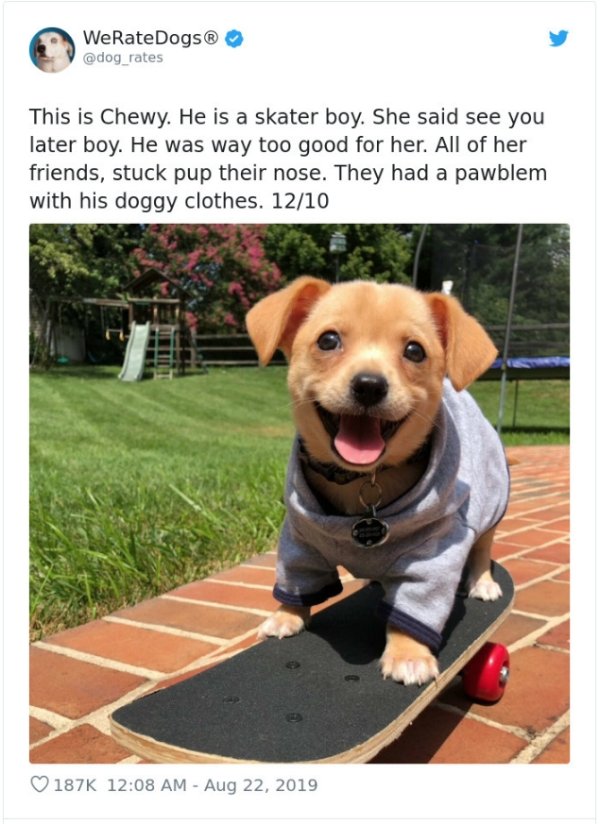 WeRateDogs Tweets (40 pics)