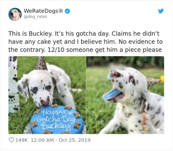 WeRateDogs Tweets (40 pics)