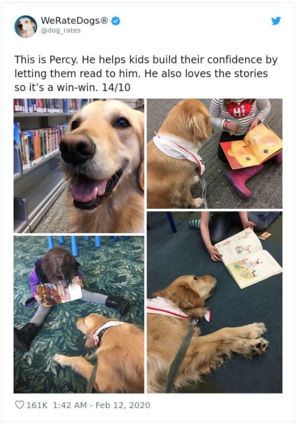 WeRateDogs Tweets (40 pics)