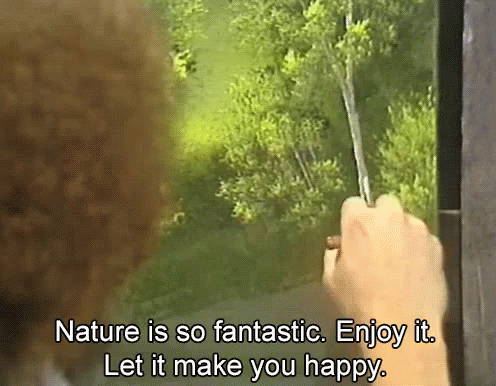 Beautiful And Terrifying Nature (26 gifs)