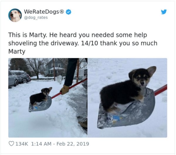 WeRateDogs Tweets (40 pics)