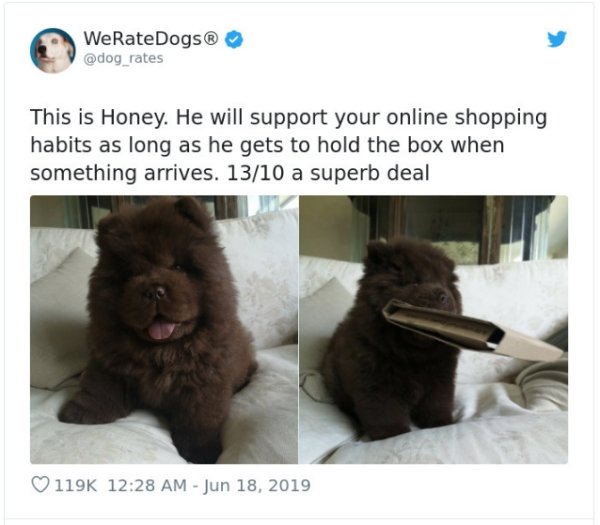 WeRateDogs Tweets (40 pics)