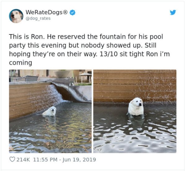 WeRateDogs Tweets (40 pics)
