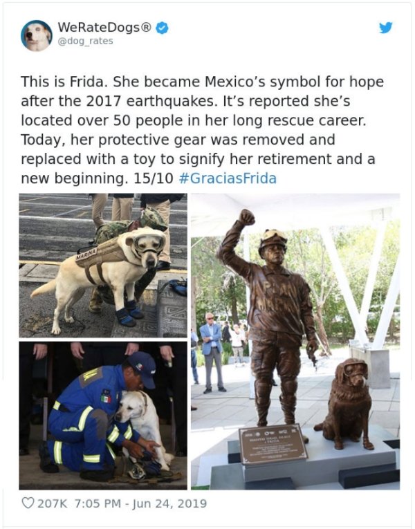 WeRateDogs Tweets (40 pics)