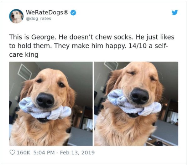 WeRateDogs Tweets (40 pics)