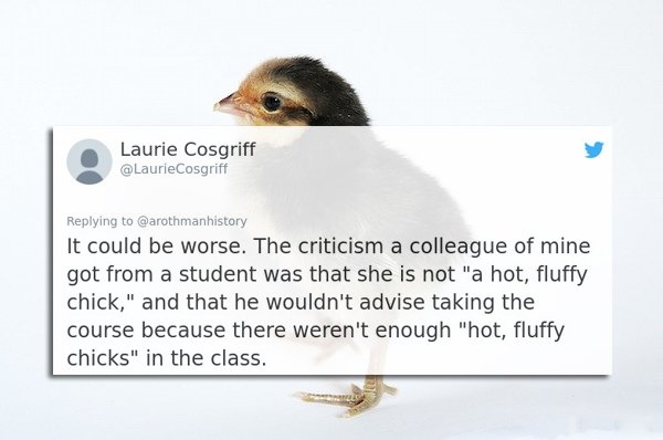 Teachers Share Insane Course Evaluations (17 pics)