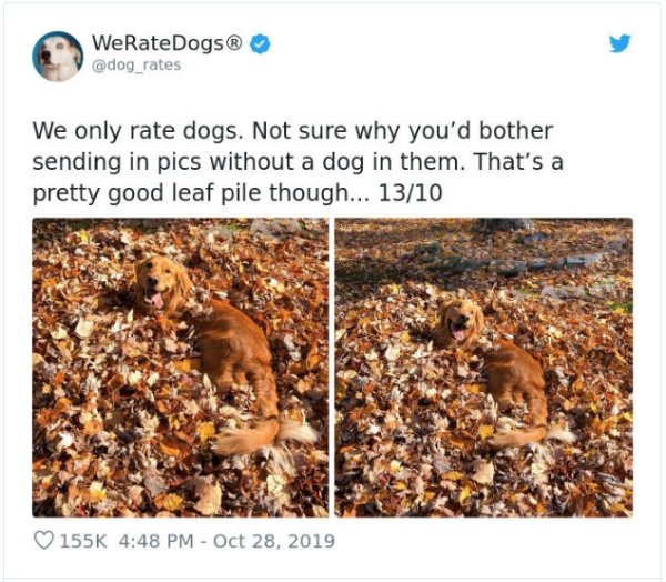 WeRateDogs Tweets (40 pics)