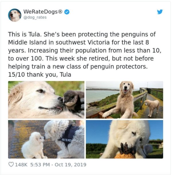 WeRateDogs Tweets (40 pics)