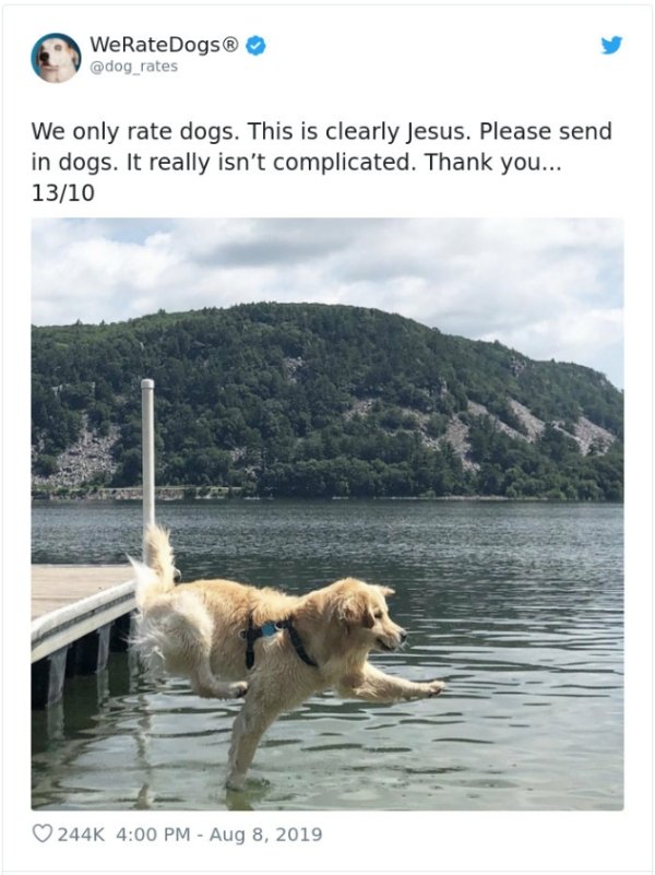 WeRateDogs Tweets (40 pics)