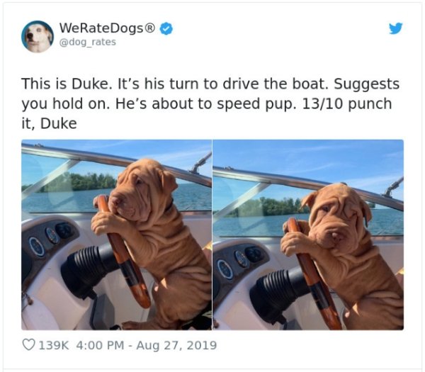 WeRateDogs Tweets (40 pics)