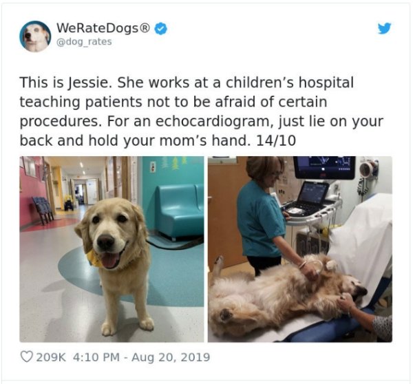 WeRateDogs Tweets (40 pics)