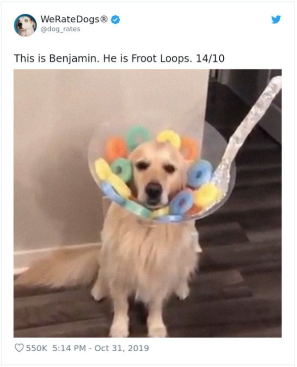 WeRateDogs Tweets (40 pics)