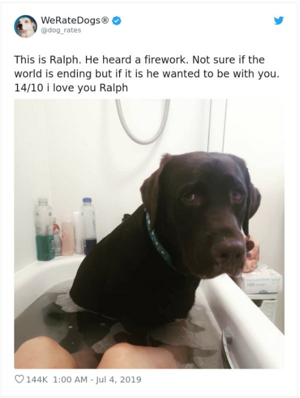 WeRateDogs Tweets (40 pics)