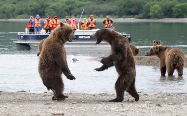 Acid Picdump. Part 2 (95 pics)