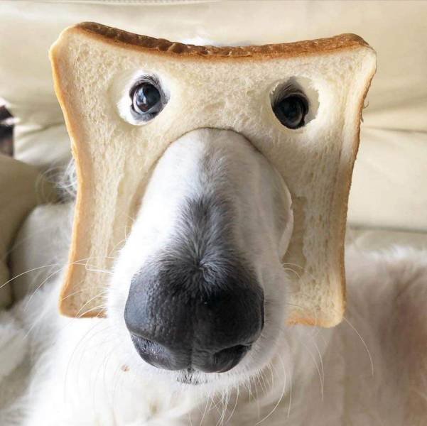 Acid Picdump. Part 1 (96 pics)
