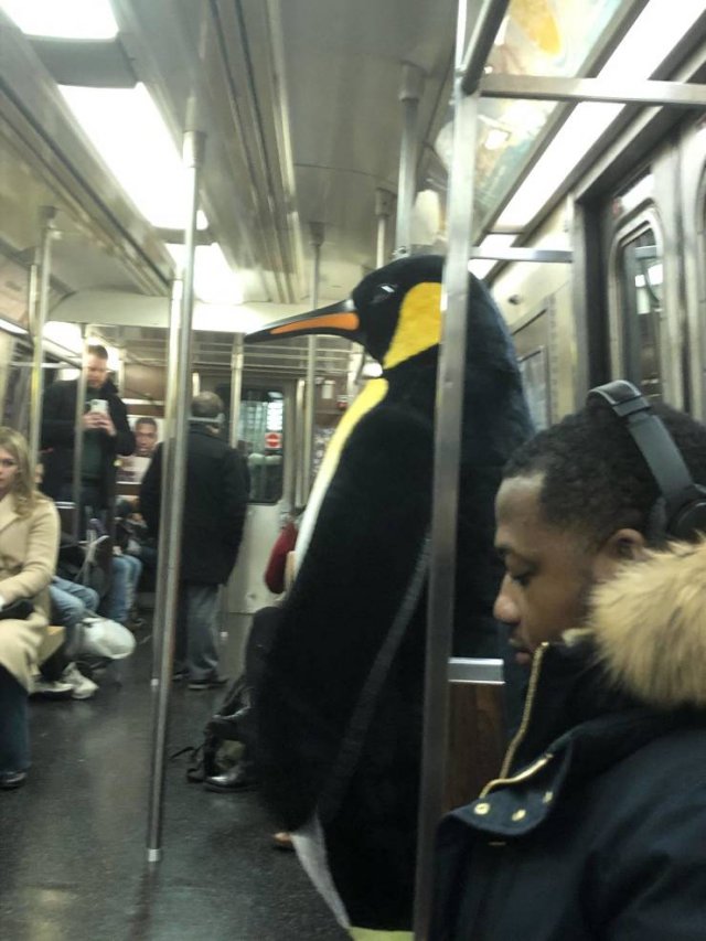 Acid Picdump. Part 2 (89 pics)