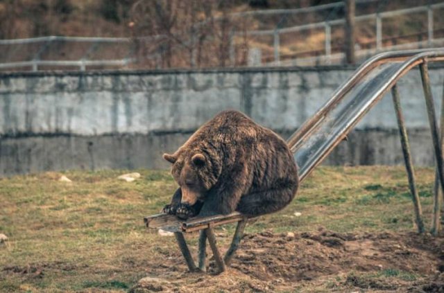 Acid Picdump. Part 1 (96 pics)