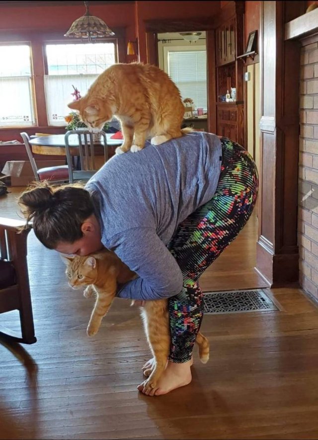 Acid Picdump. Part 2 (96 pics)