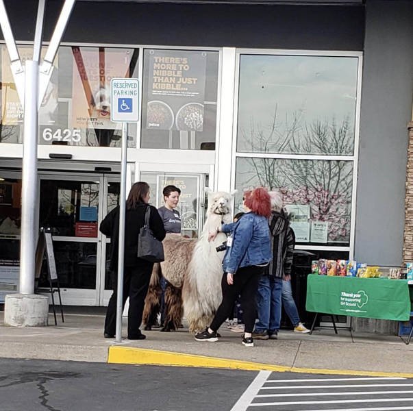 Acid Picdump. Part 2 (89 pics)