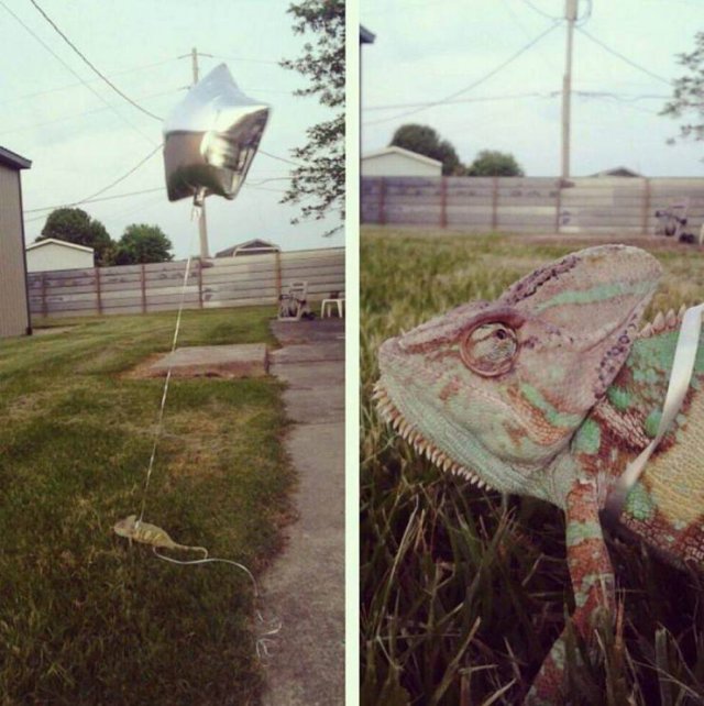 Acid Picdump. Part 1 (96 pics)