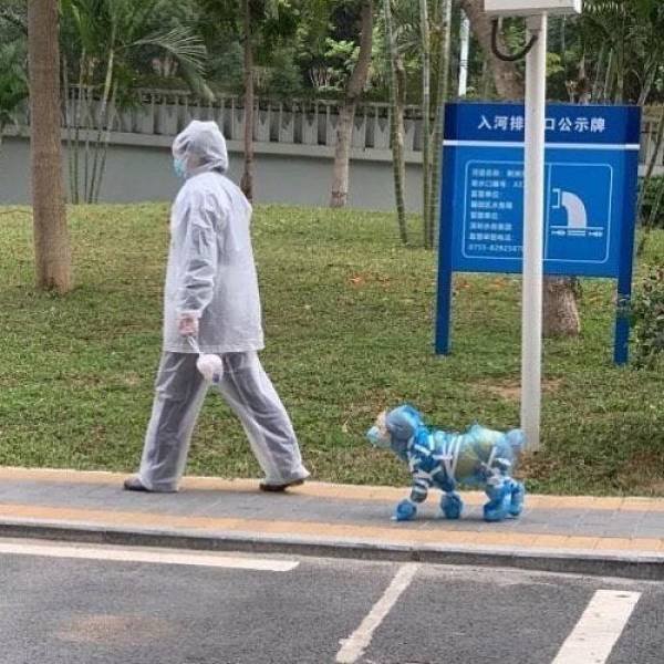 Coronavirus Paranoia (14 pics) Coronavirus Paranoia (14 pics)