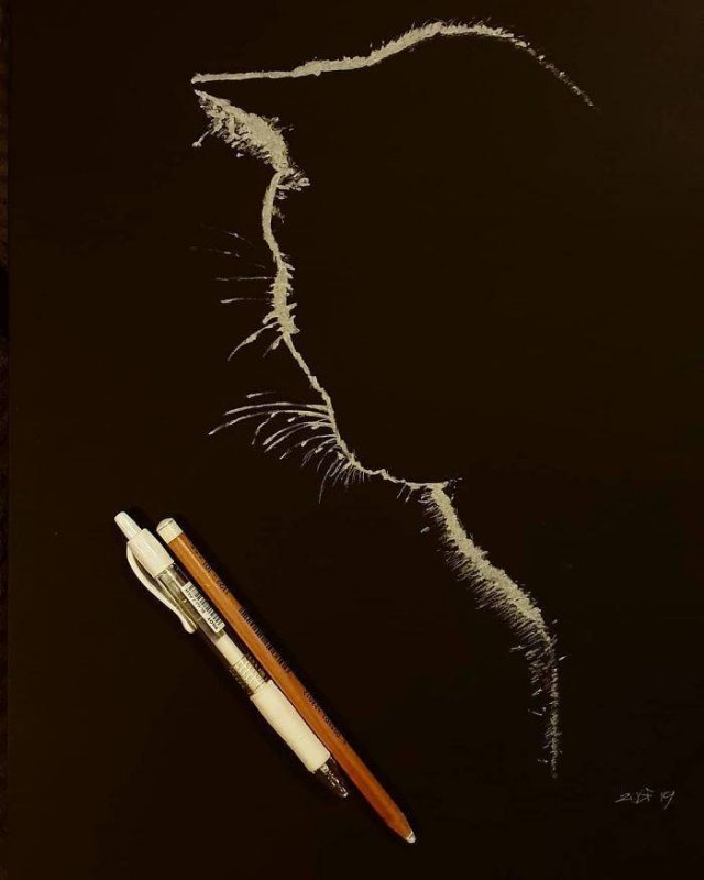 Pencil Drawings By Zulf (19 pics)