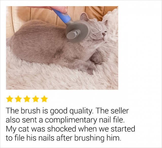 Great Product Reviews (14 pics)