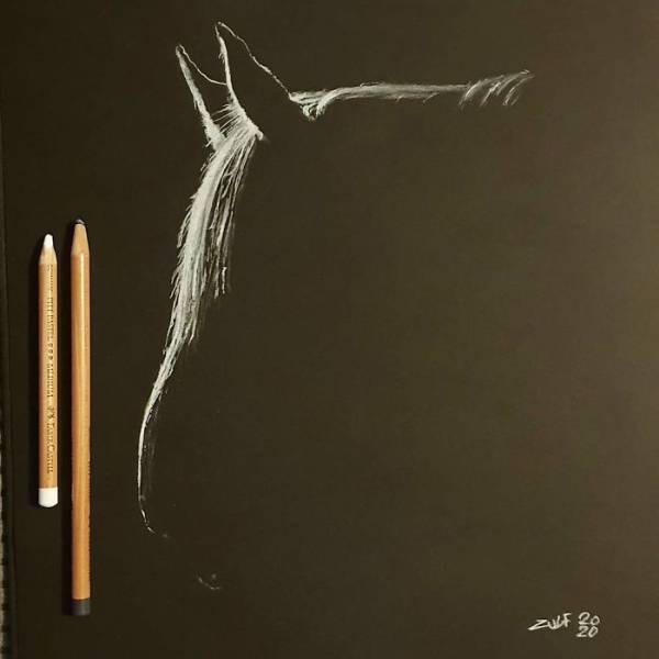 Pencil Drawings By Zulf (19 pics)