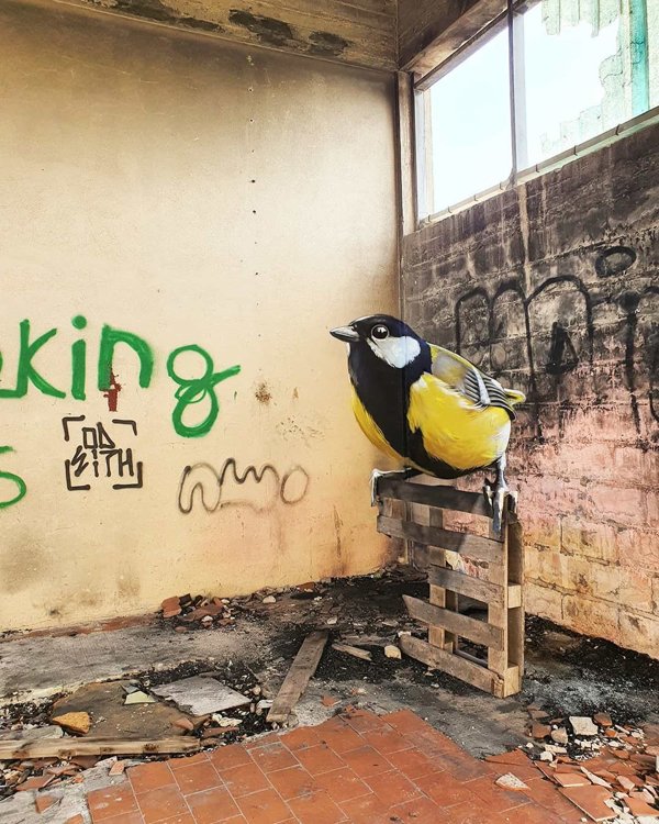 3D Art By Odeith (30 pics)