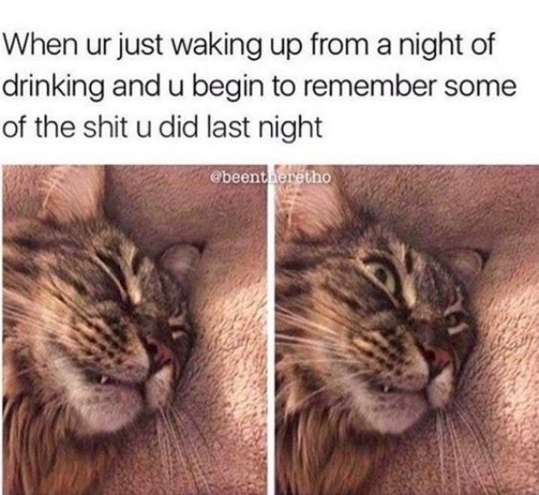 Wasted Memes (31 pics)