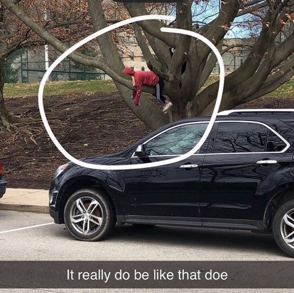 Wasted Memes (31 pics)