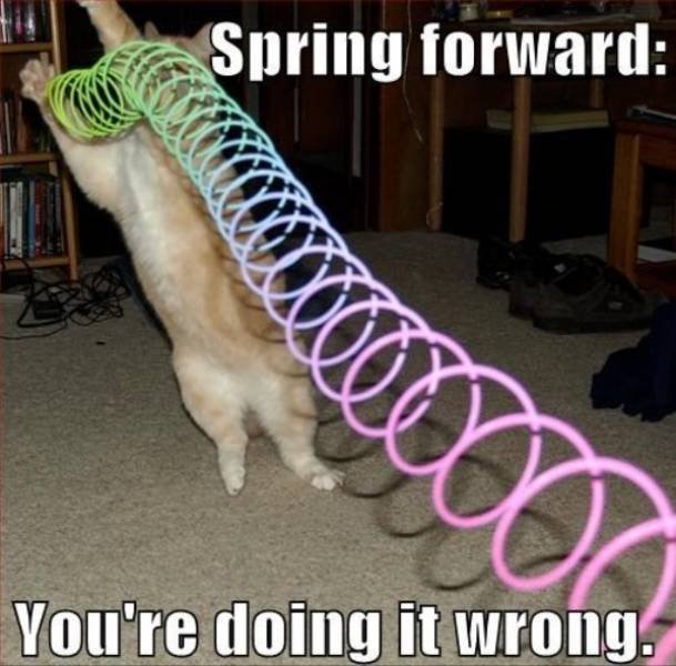 Spring Memes (34 pics)