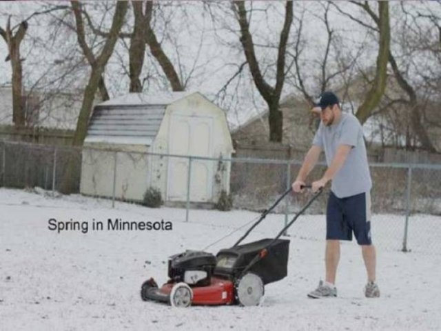 Spring Memes (34 pics)