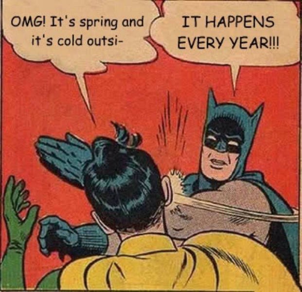 Spring Memes (34 pics)