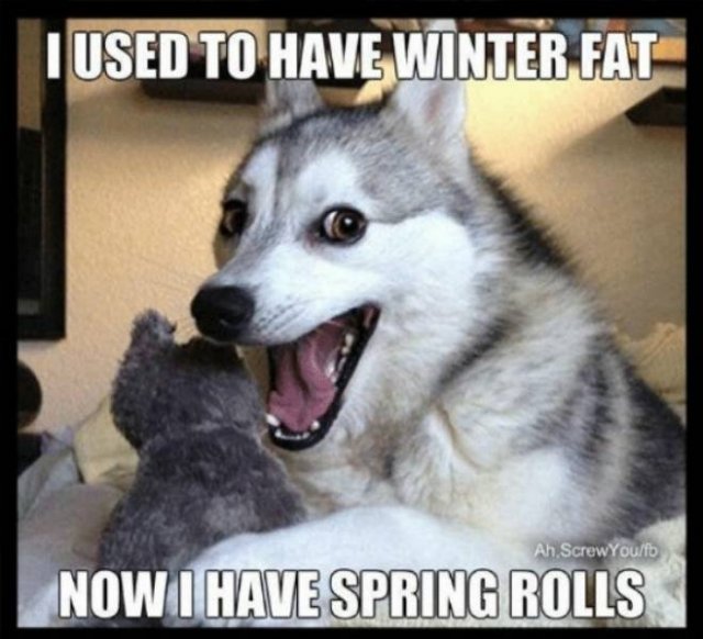 Spring Memes (34 pics)