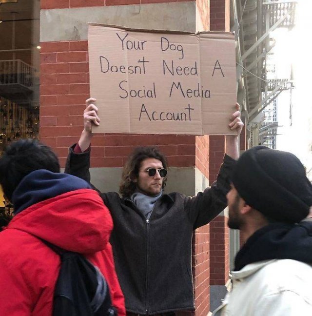 Dude With A Sign (29 pics)