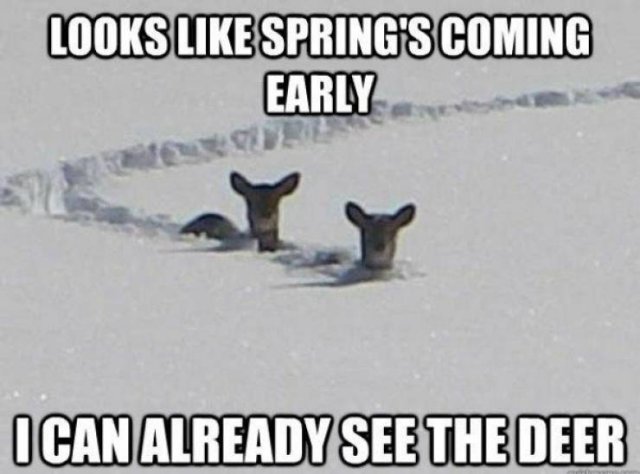 Spring Memes (34 pics)