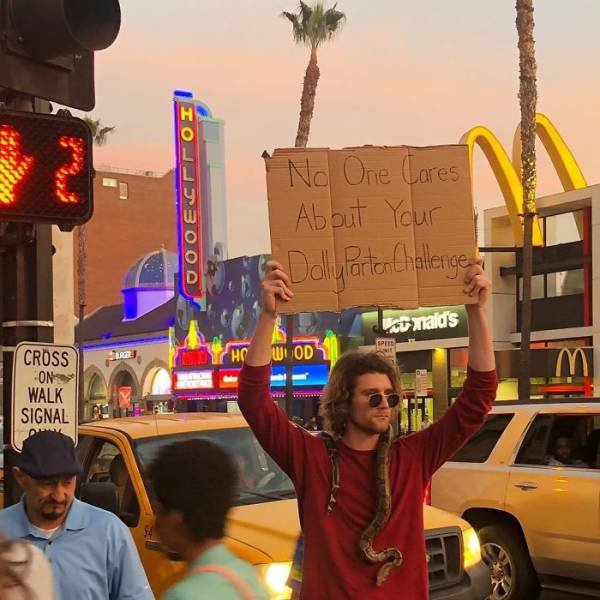 Dude With A Sign (29 pics)